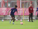 03.05.2022, FC Bayern Muenchen, Training

Hier nur Vorschaubilder !