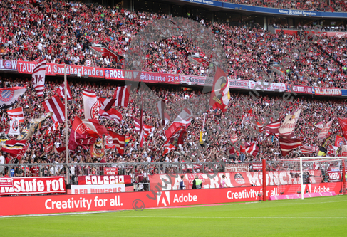 29.10.2022, FC Bayern Muenchen - 1.FSV Mainz 05


Hier nur Vorschaubilder !
