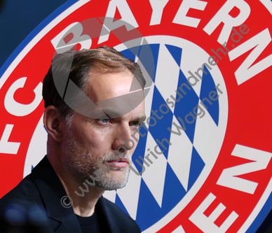 25.03.2023, FC Bayern Muenchen, Pressekonferenz Tuchel

Hier nur Vorschaubilder !