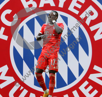 13.04.2023, FC Bayern Muenchen, Sadio Mane

Hier nur Vorschaubilder !