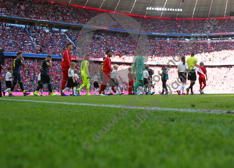 21.09.2019, FC Bayern Muenchen - 1.FC Koeln

Hier nur Vorschaubilder !