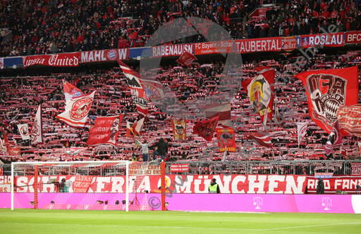 26.02.2023, FC Bayern Muenchen - 1.FC Union Berlin

Hier nur Vorschaubilder !