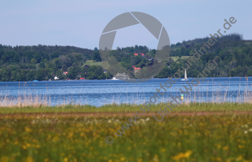 24.05.2019, Starnberger See, Ostufer

Hier nur Vorschaubilder !