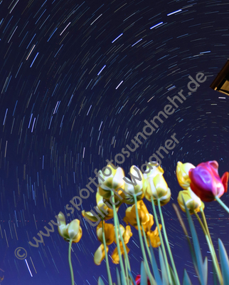 Nachtaufnahmen, Sternenhimmel

Foto: Ulrich Wagner

Original: 4000 x 3000