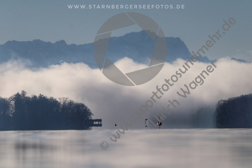 19.12.2020, Steg 1, Vormittag, Starnberger See

Hier nur Vorschaubilder !
