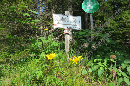 18.07.2015,Scheinbergspitze,Bayerische Hausberge

Foto: Ulrich Wagner
