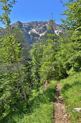 19.06.2019, Scheinbergspitze, Ammergauer Alpen

Hier nur Vorschaubilder !