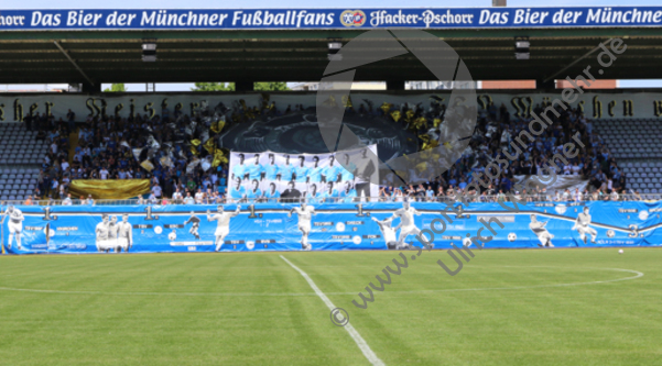 21.05.2016, Fussball Regionalliga, TSV1860 Muenchen II - TSV Rain am Lech


Hier nur Vorschaubilder !