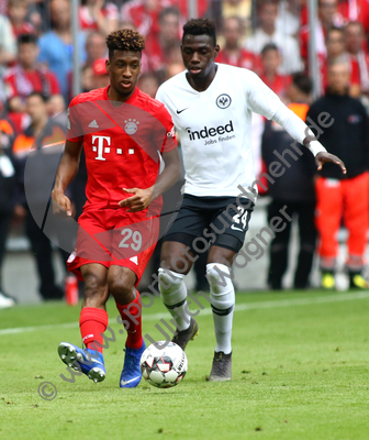 18.05.2019, FC Bayern Muenchen - Eintracht Frankfurt

Hier nur Vorschaubilder !