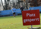 14.11.2017, TSV 1860 Muenchen, Training

Hier nur Vorschaubilder !