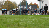 23.10.2019 TSV 1860 Muenchen, Training

Hier nur Vorschaubilder !