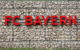 01.09.2023, FC Bayern Muenchen - Fortuna Sittard, Frauen, Testspiel

Hier nur Vorschaubilder !