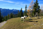08.11.2015, Pleisenspitze,Tiroler Hausberge

Foto: Ulrich Wagner

Hier nur Vorschaubilder