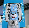 11.04.2022, TSV 1860 Muenchen, OsterhaseHier nur Vorschaubilder !