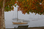 12.10.2015,Tutzing, Starnberger See

Foto: Ulrich Wagner