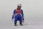 19.01.2018, Skiflug Weltmeisterschaft, Oberstdorf

Hier nur Vorschaubilder !